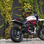 Ducati Scrambler Desert Sled 2019