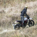 Ducati Scrambler Desert Sled 2019