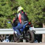 Suzuki GSX 250R