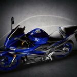 Yamaha YZF-R3 2019