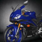 Yamaha YZF-R3 2019