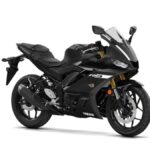 Yamaha YZF-R3 2019