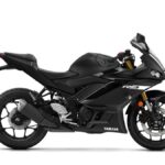 Yamaha YZF-R3 2019