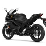 Yamaha YZF-R3 2019