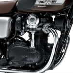 Kawasaki W800 Café 2019