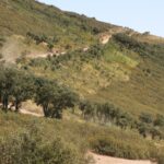 Honda Africa Twin Adventure Sports en ruta 14 Honda Africa Twin Adventure Sports