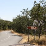 Honda Africa Twin Adventure Sports en ruta 16 Honda Africa Twin Adventure Sports