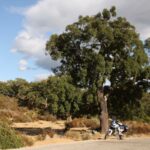 Honda Africa Twin Adventure Sports en ruta 50 Honda Africa Twin Adventure Sports
