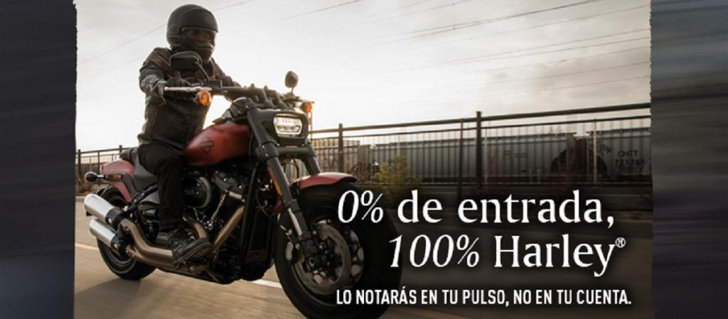 hd harley davidson