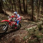 Gama Beta Enduro 2021