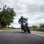 Gama Energica 2020