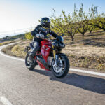 Gama Energica 2020