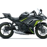 Nuevos colores 2021 para Kawasaki Z 650, Ninja 650