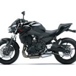 Nuevos colores 2021 para Kawasaki Z 650, Ninja 650 y Versys 650 36 Nuevos colores 2021 para Kawasaki Z 650, Ninja 650
