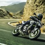 Nuevos colores 2021 para Kawasaki Z 650, Ninja 650 y Versys 650 48 Nuevos colores 2021 para Kawasaki Z 650, Ninja 650