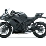 Nuevos colores 2021 para Kawasaki Z 650, Ninja 650 y Versys 650 5 Nuevos colores 2021 para Kawasaki Z 650, Ninja 650