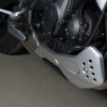 Fotos: Triumph Trident 660 15 Triumph Trident 660