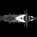 Fotos: Triumph Trident 660 73 Triumph Trident 660