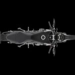 Fotos: Triumph Trident 660 80 Triumph Trident 660