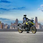 Suzuki V-Strom 650 2021