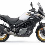 Suzuki V-Strom 650 2021