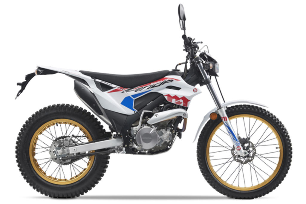 Moto de campo: qué modelo elegir para cada tipo de carnet 17 montesa 4ride 2020