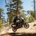 Fotos: Las 24 motos Harley-Davidson para 2021 47 Las 24 motos Harley-Davidson para 2021