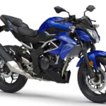 Fotos: Las 58 motos de Kawasaki en oferta en 2021 35 Las 58 motos de Kawasaki en oferta en 2021