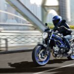 Suzuki SV 650 2021