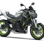 Kawasaki Z650 Performance 2021