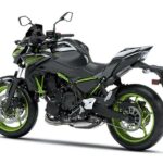 Kawasaki Z650 Performance 2021