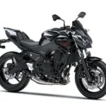 Kawasaki Z650 Performance 2021