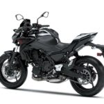 Kawasaki Z650 Performance 2021