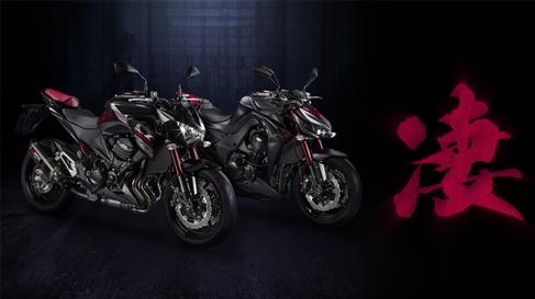 Ediciones especiales Kawasaki Z800 y Z1000 "Sugomi Editions", en EICMA 2015 1 151110eicmazsugomi03