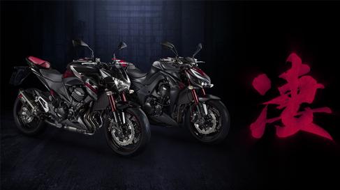 Ediciones especiales Kawasaki Z800 y Z1000 «Sugomi Editions», en EICMA 2015