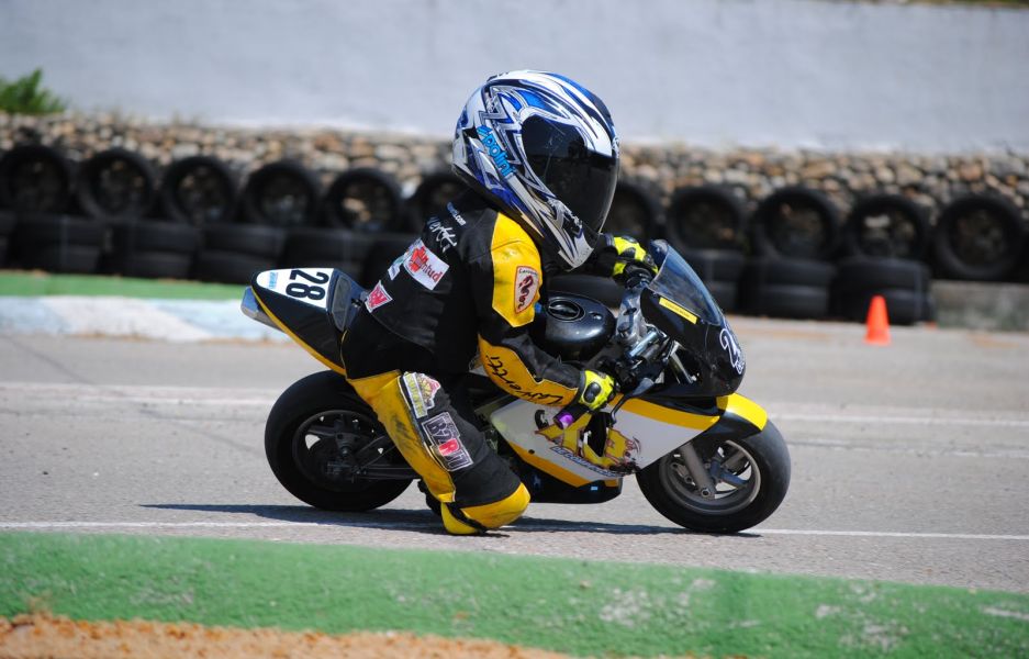 Tímidos con mirada felina 1 XE Racing