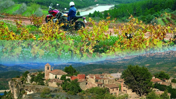 El Priorato: Vinos, curvas y cartuja 1 apertura