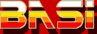 FIESTA MOTERA MOTOS BASI 2010 1 basi 1