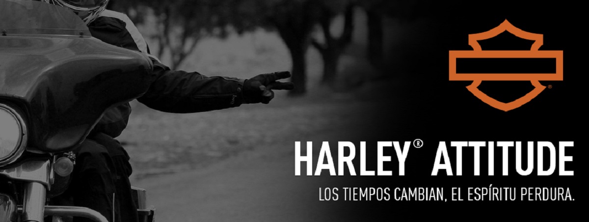 Los concesionarios Harley-Davidson regresan a la actividad: <em>Harley Attitude</em> 1 harley davidson 3