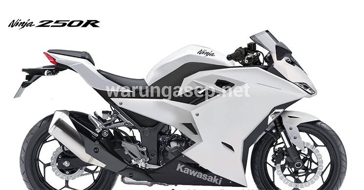 Kawasaki Ninja 300 2017: filtradas sus primeras fotos 1 kawasakininja3002017