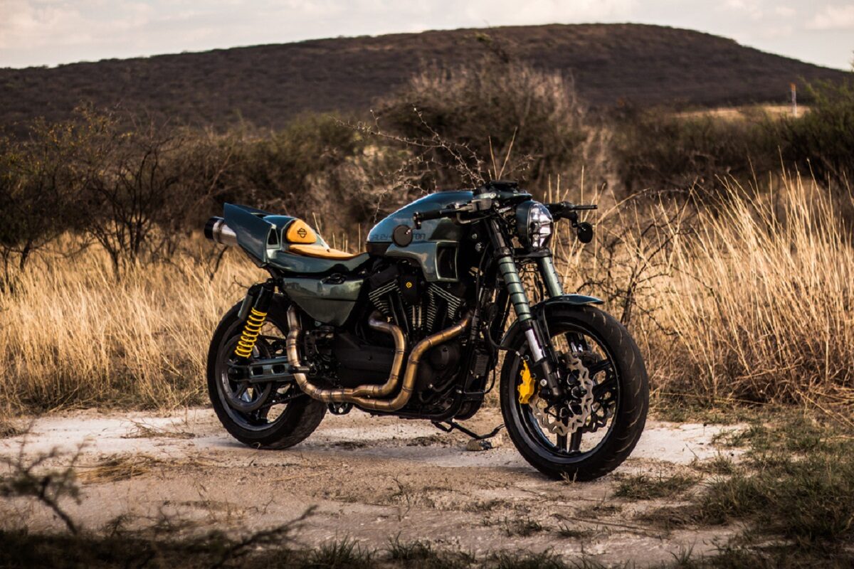 Harley-Davidson Apex Predator: Rey de Reyes 1 kingofkings2020