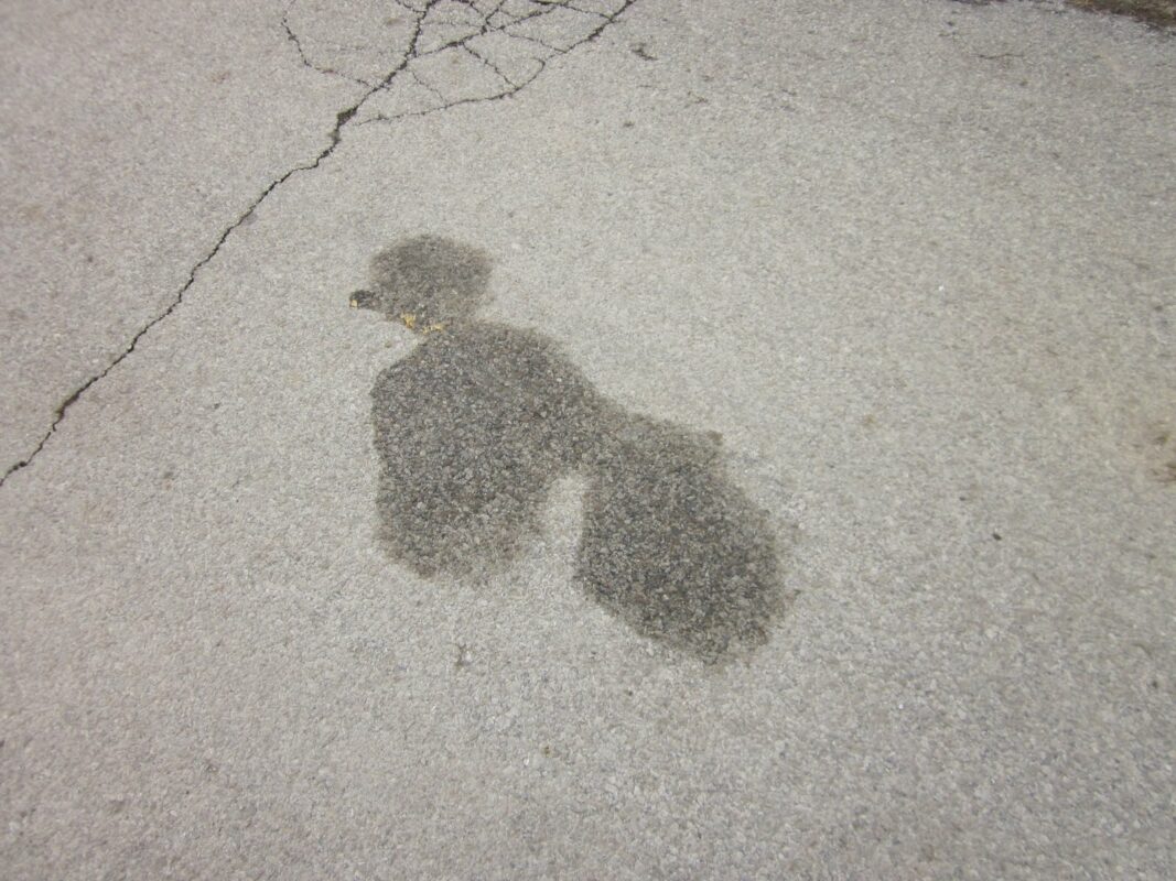 Manchas de gasoil, un peligro para los motoristas 1 oilpoodle 2