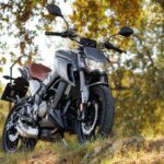 Prueba Orcal SK 03 300