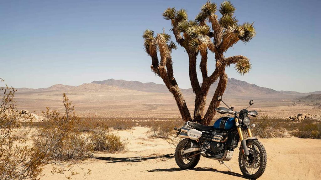 Triumph Scrambler 1200 XE: Vamos de Picnic 1 scambler1200xe