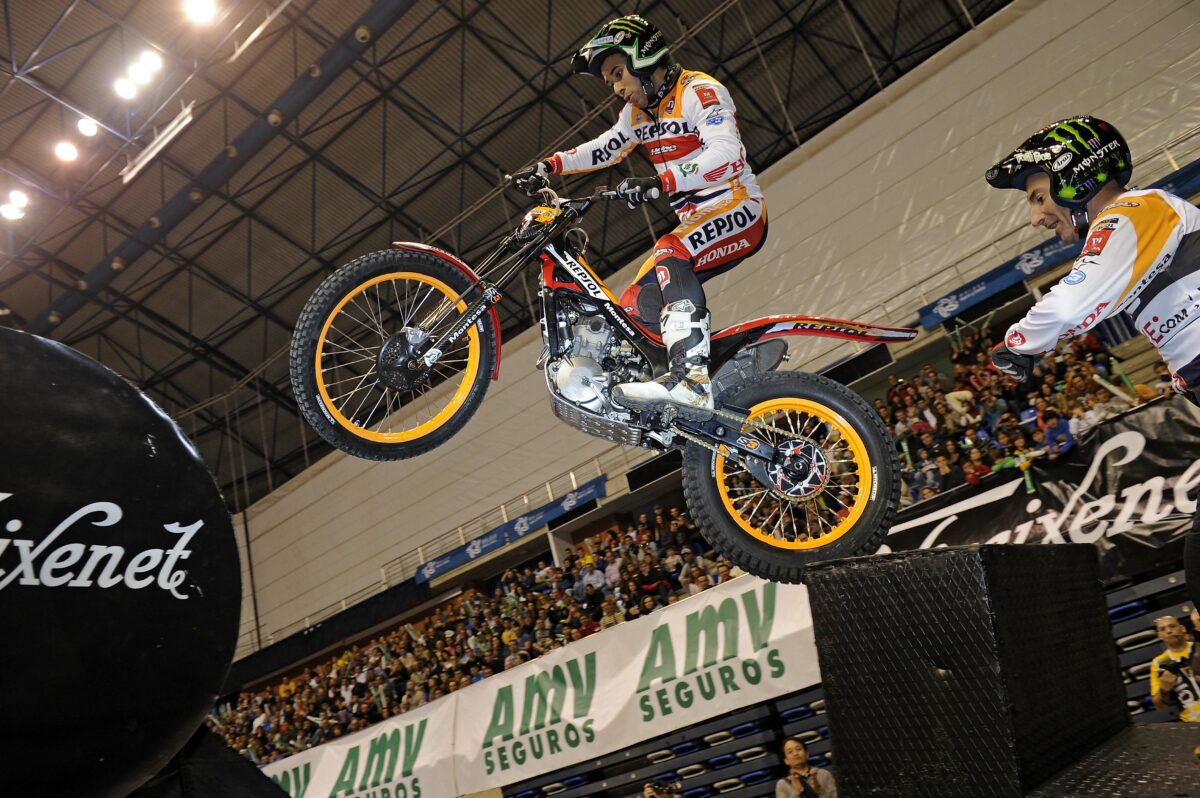 tonibou 3