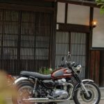 Kawasaki W 800 2022