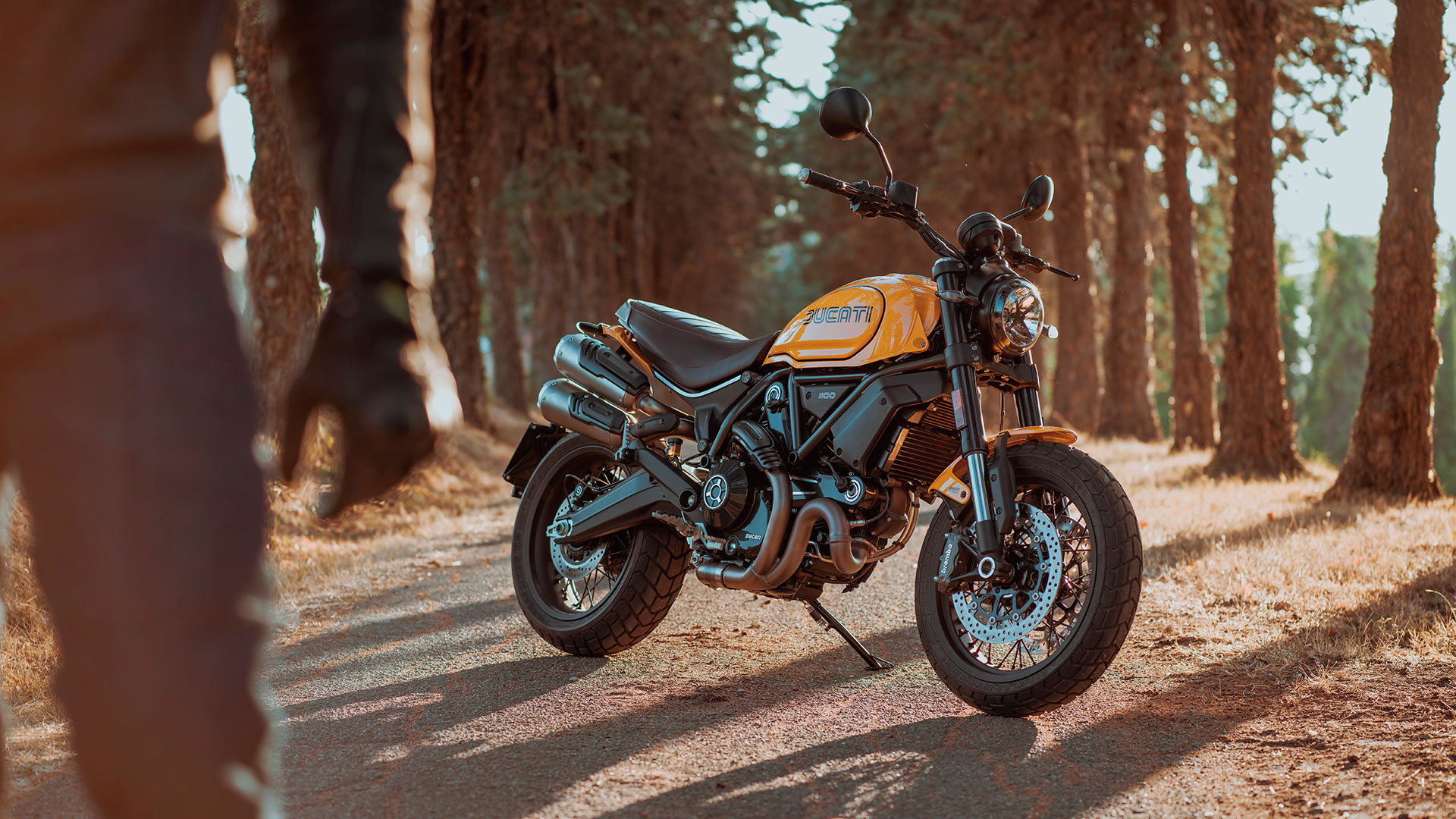 Ducati Scrambler 2022: dos nuevos modelos para seguir diversificando aún más la gama
