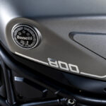 Benelli Leoncino 800 y 800 Trail 34 Benelli Leoncino 800 / Leoncino 800 Trail