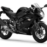 Kawasaki Ninja 125 2022