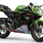 Kawasaki Ninja 125 2022